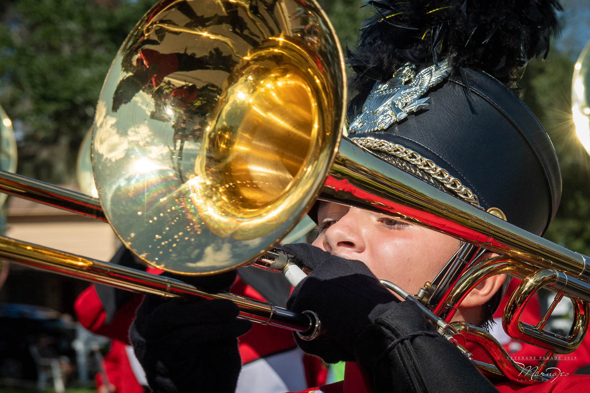 Veterans day parade tampa